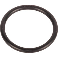 Carraro O-ring  028117
