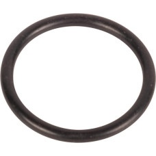 Carraro O-ring  028117