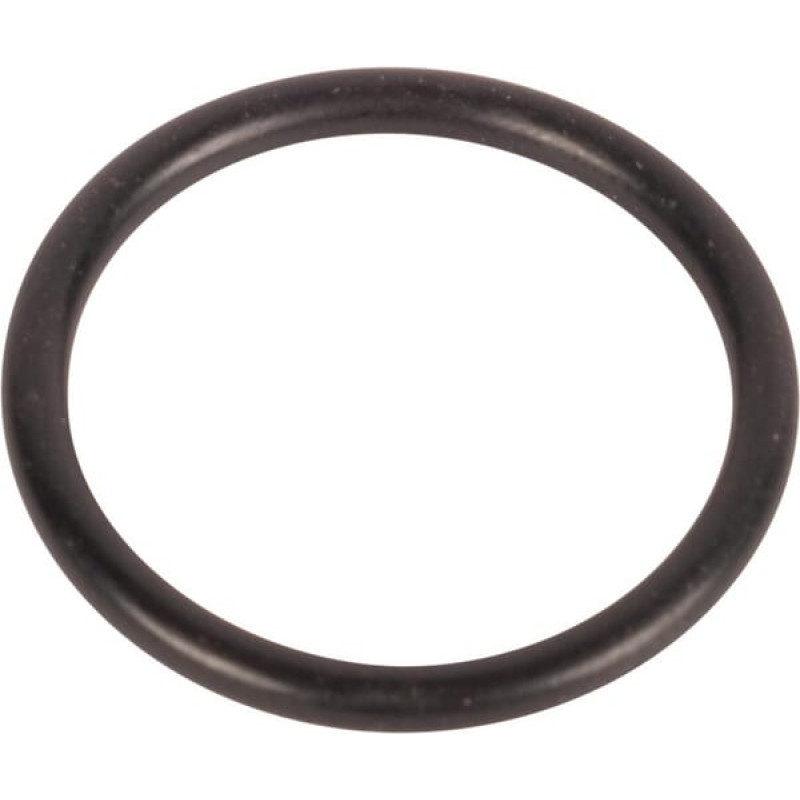 Carraro O-ring  028117