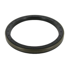 ZF Oil Seal  0734309422