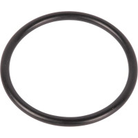 Carraro O-ring  028141