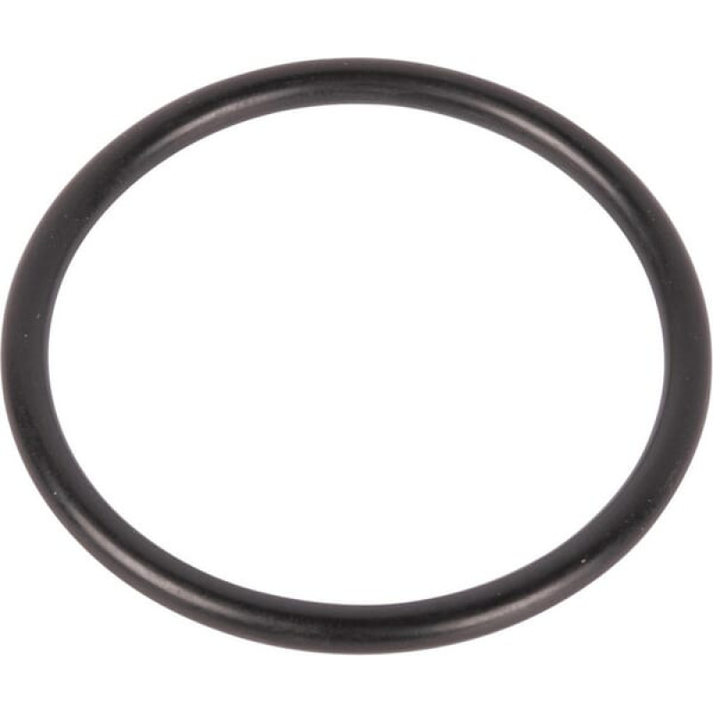 Carraro O Ring gredzens 028141