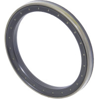 Carraro Oil seal  047703