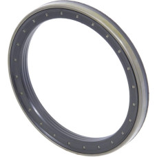 Carraro Oil seal  047703