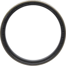 Carraro Oil seal  045320