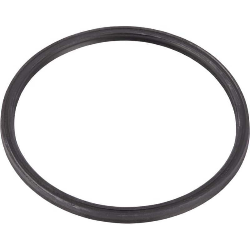 ZF O-ring  0634313450