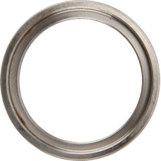 Spicer Dana Oil seal  2770600401