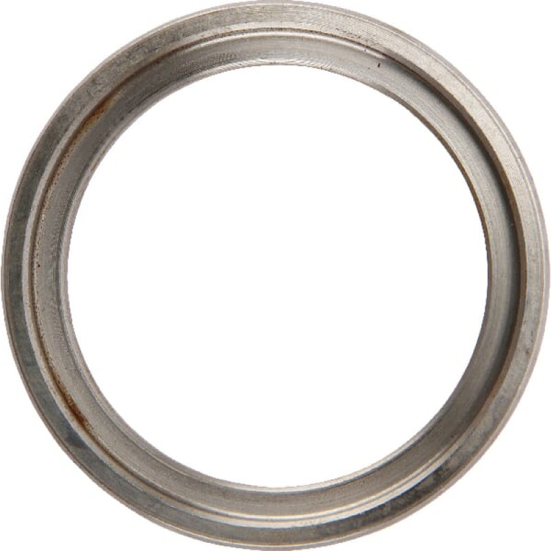 Spicer Dana Oil seal  2770600401