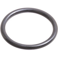 Carraro O-ring  028576