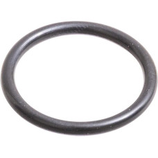 Carraro O-ring  028576