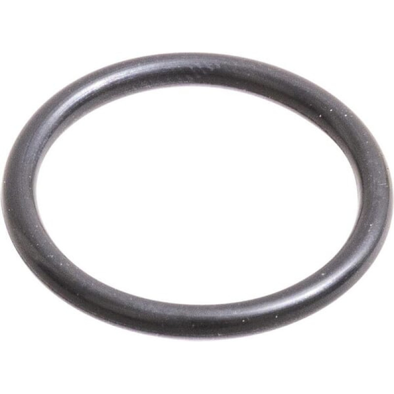 Carraro O-ring  028576