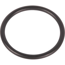 ZF O-ring  0634303422