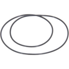 Carraro O-ring  028556