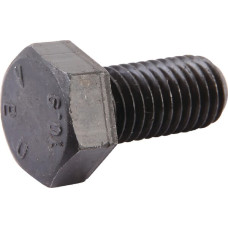 Carraro Bolt M12x25  127924