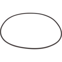 Carraro O-ring  831463