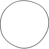 Carraro O-ring  028668
