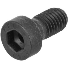 ZF Cap head bolt  0636102041