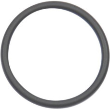 Carraro O-ring  028500