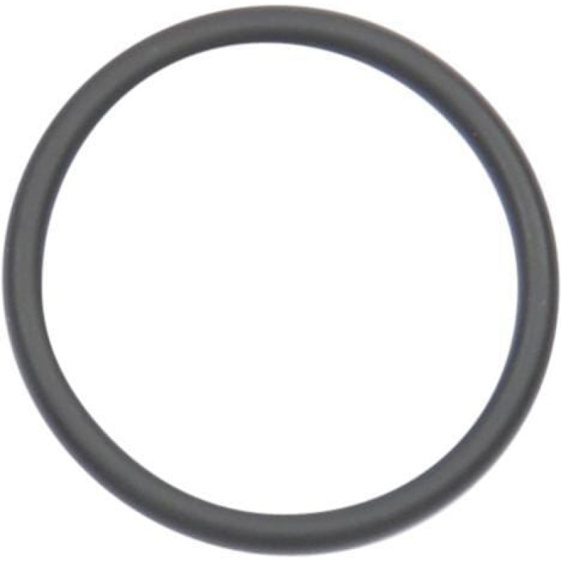 Carraro O-ring  028500