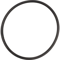 Carraro O-ring  028518