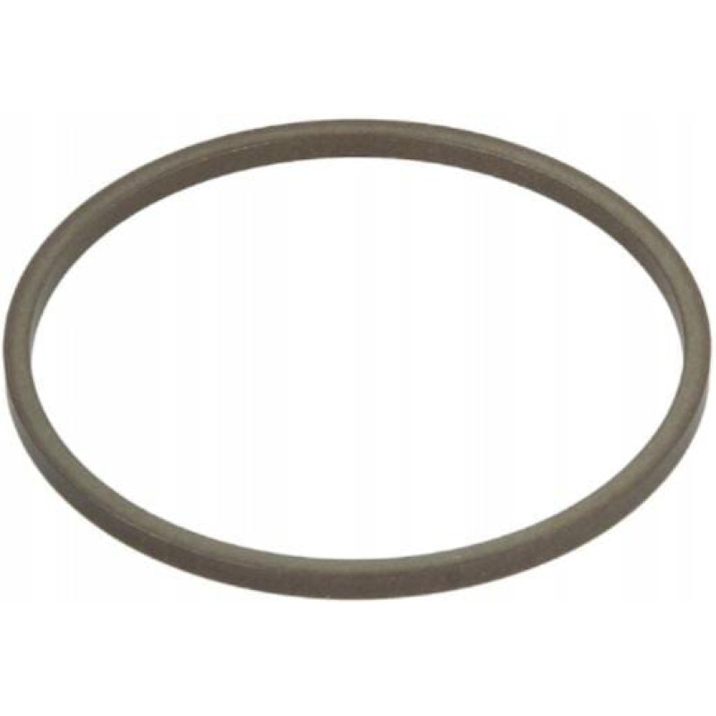 Carraro Oil seal  142858