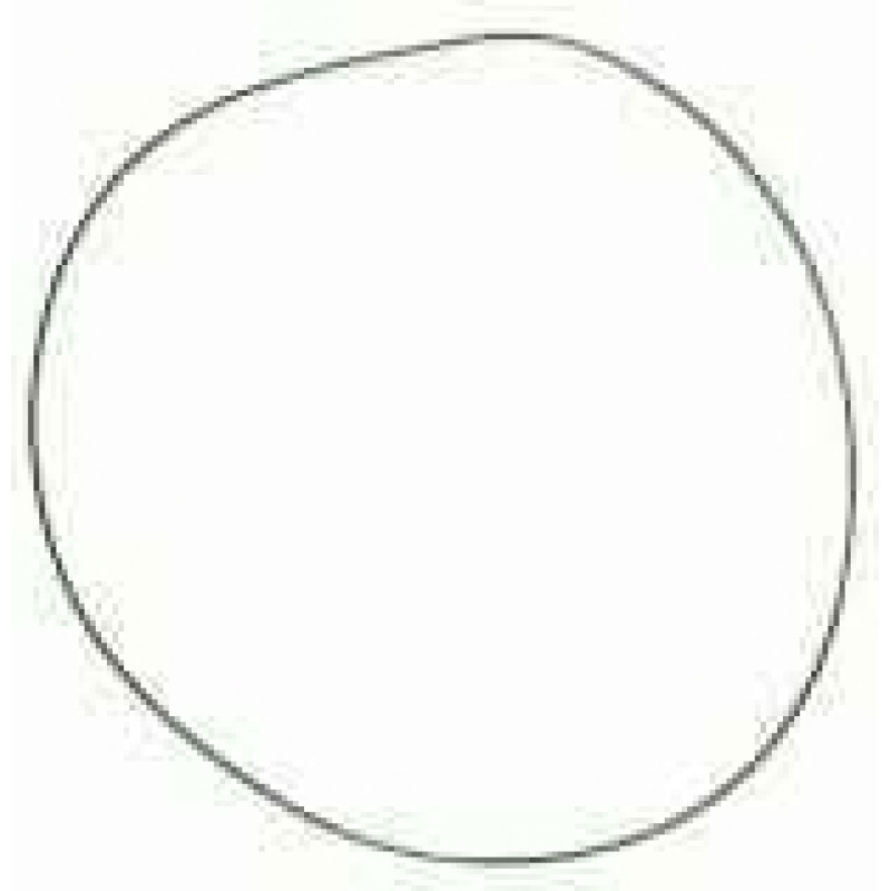 John Deere Alternative L39942 O veida gredzens