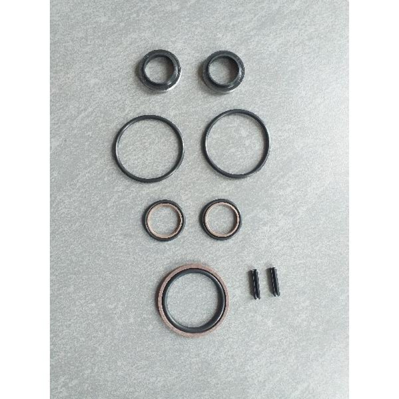 Eu-Gear Producer FENDT stūres pastiprinātāja cilindra blīvējuma komplekts