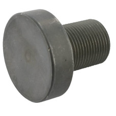 Scharmüller Bolt M6x12  20106043