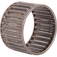 Carraro Needle bearing  028046