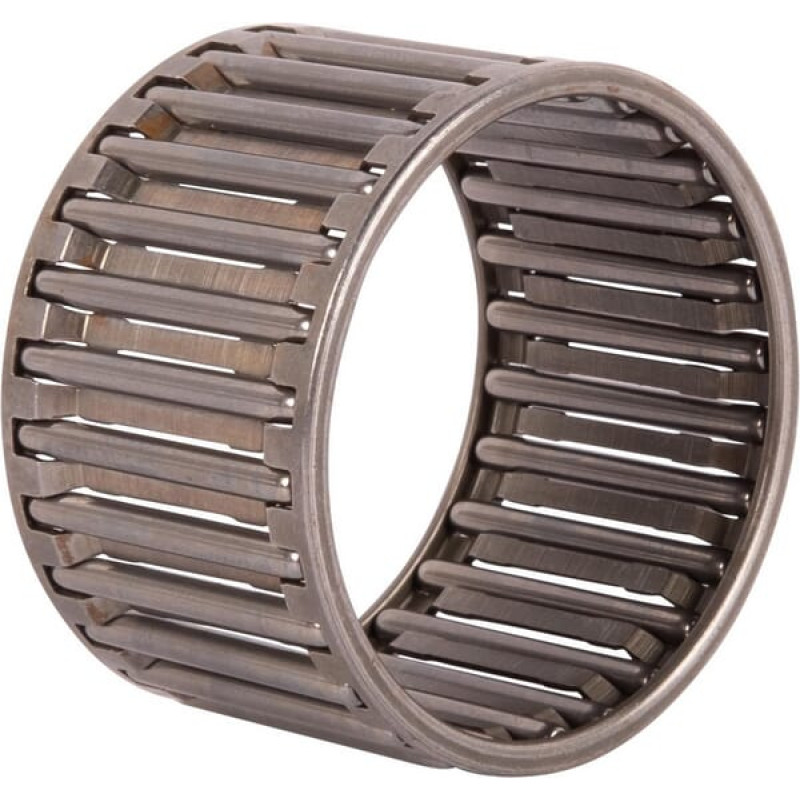 Carraro Needle bearing  028046