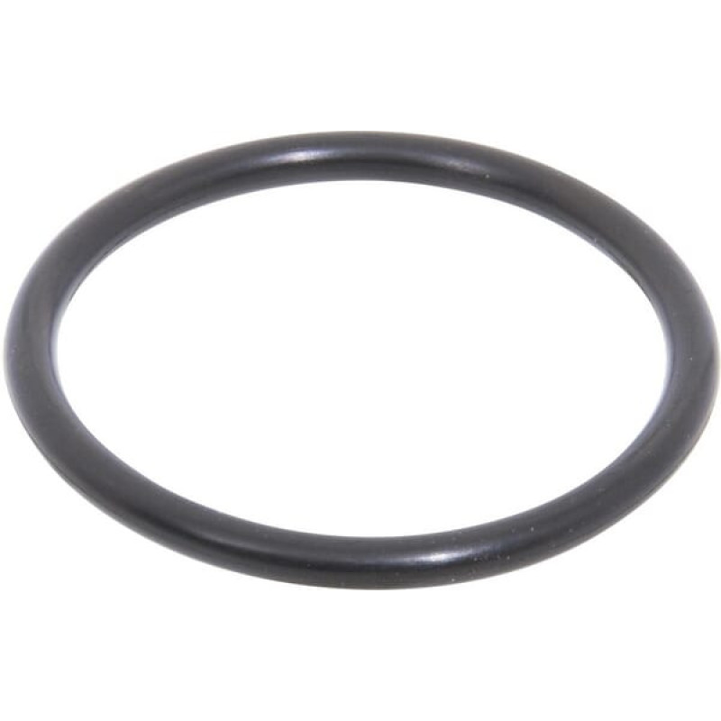 Carraro O-ring  028623