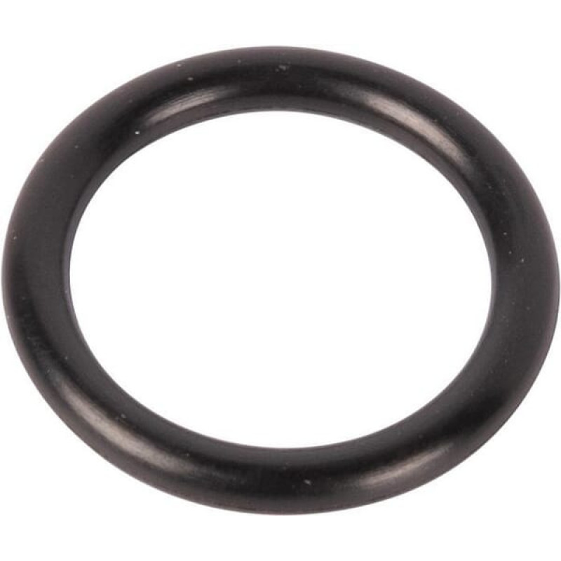 Carraro O-ring  028522