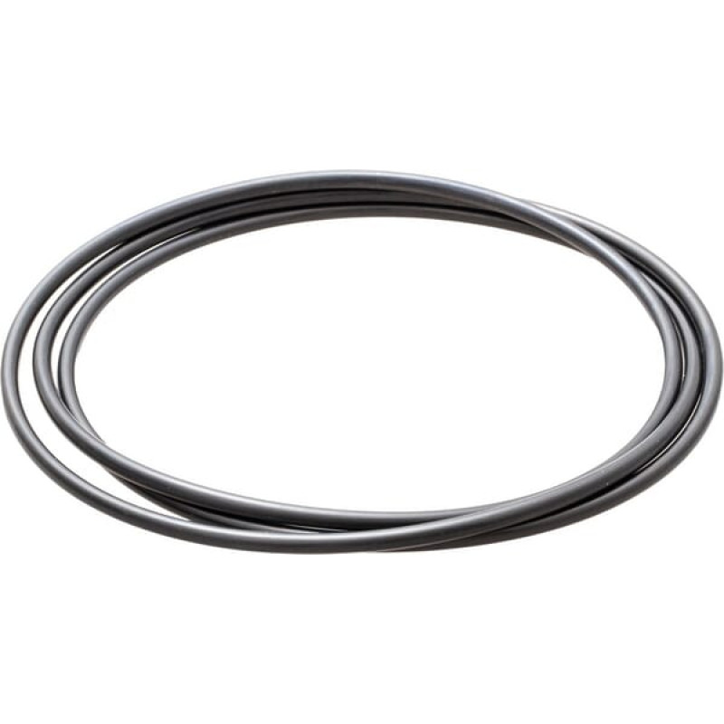 Carraro O-ring  028565