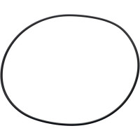 Carraro O-ring  028571