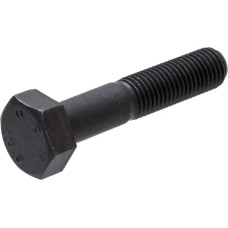 Carraro Screw  125229