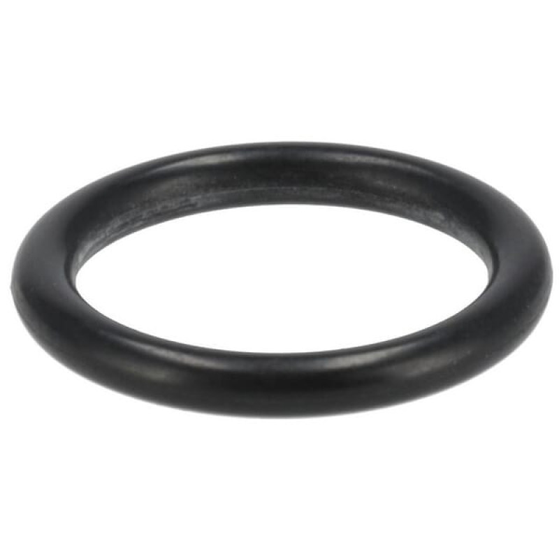 ZF O-ring  0634306015