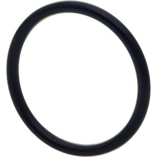 Carraro O-ring  028131