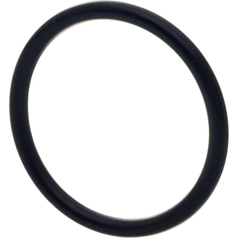 Carraro O Ring gredzens 028131