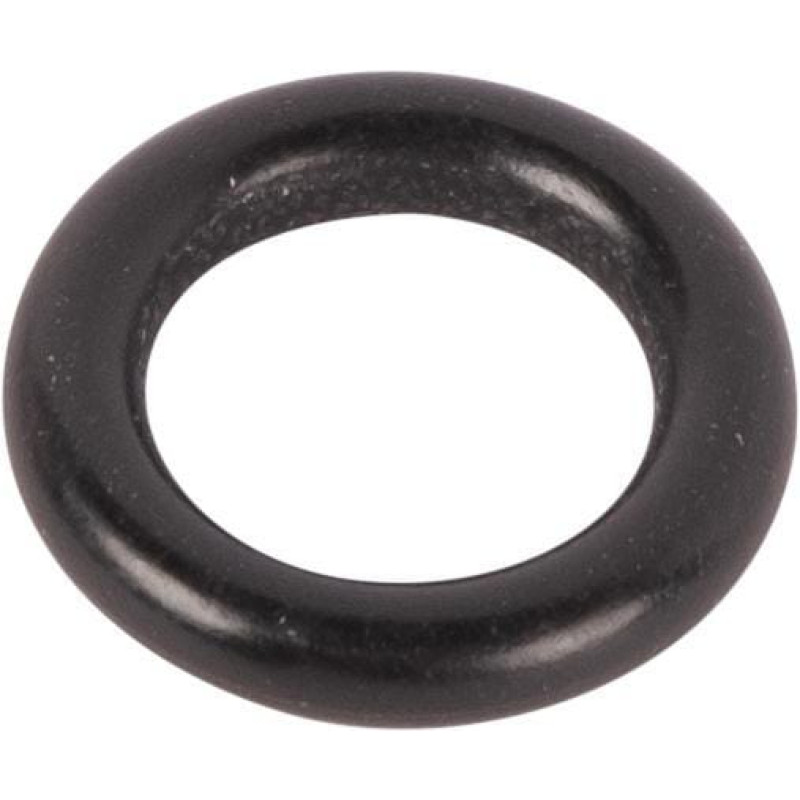 ZF O-ring  0634306181