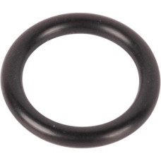 Carraro O-ring  028595