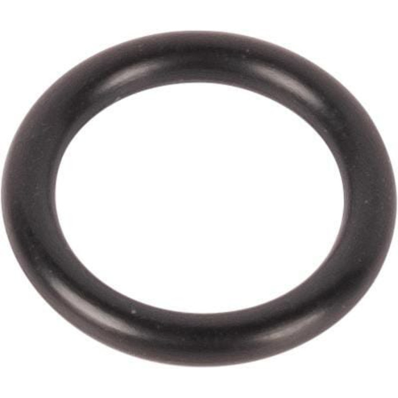 Carraro O-ring  028595