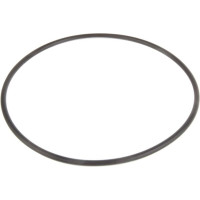 Carraro O-ring  028212