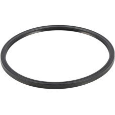 ZF Sealing ring  0501313668