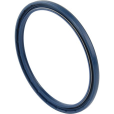 Carraro Oil seal  145639