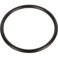 Carraro O-ring  028604