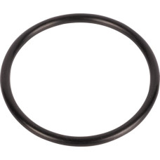 Carraro O-ring  028604