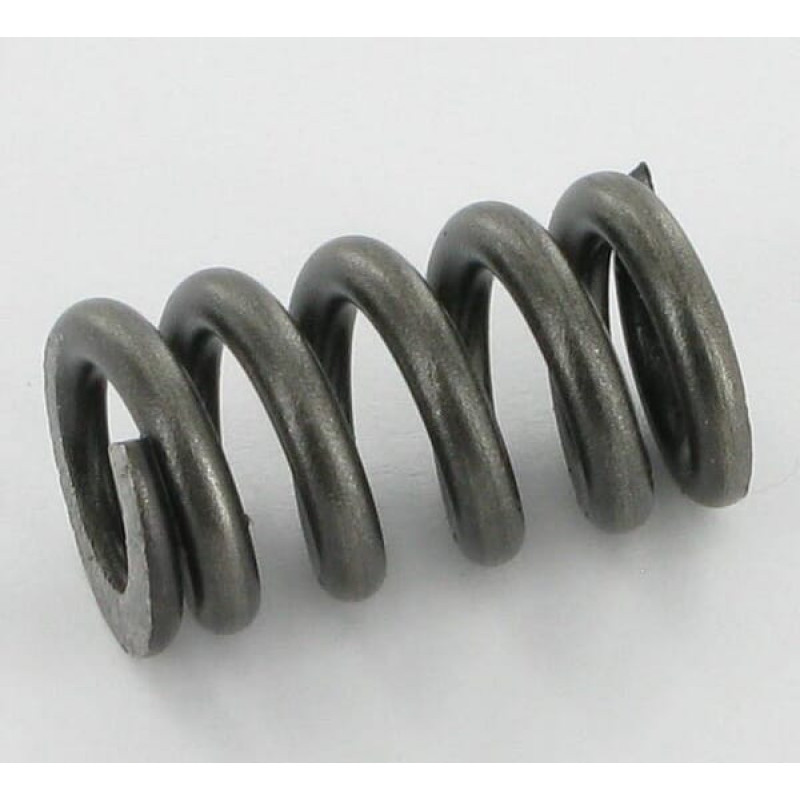 Walterscheid Outer spring  660104