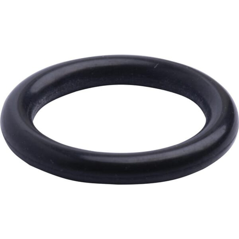 Spicer Dana Back-Up Ring  3015022X1N