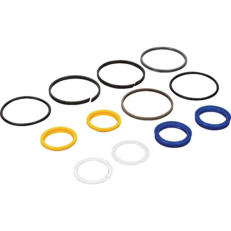 Carraro Seal kit  049214