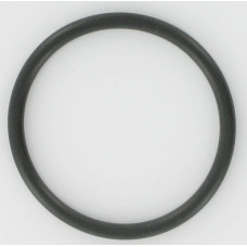 ZF O-ring  0634303417